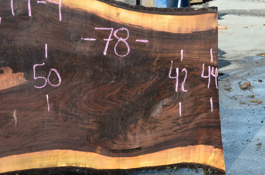 022719-04 Oregon Black Walnut Slab