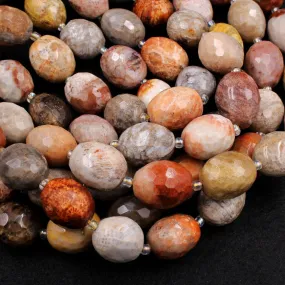 A Grade Natural Fossil Coral Beads Faceted Oval Barrel Nuggets Vibrant Yellow Grey Beige Brown Rusty Red Gemstone 16" Strand