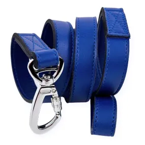 Hugs & Kisses Dog Leash in Cobalt Blue & Nickel